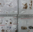 IMG_20260325_105654_007 - NeruLife.Ru