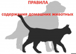 Памятки по содержанию собак!